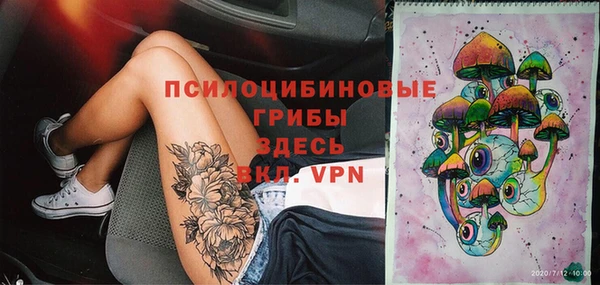 гидра Алексеевка