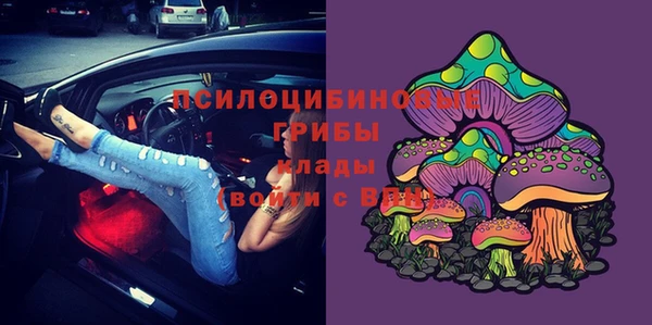 гидра Алексеевка