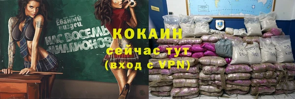 спиды Алзамай